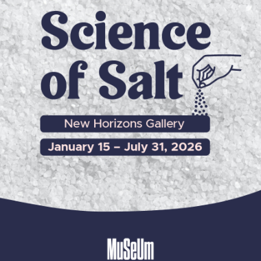Science of Salt