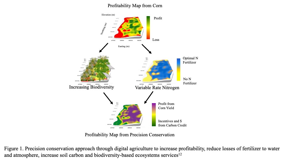 Profitability Map from Corn shows methods involved and how they work together