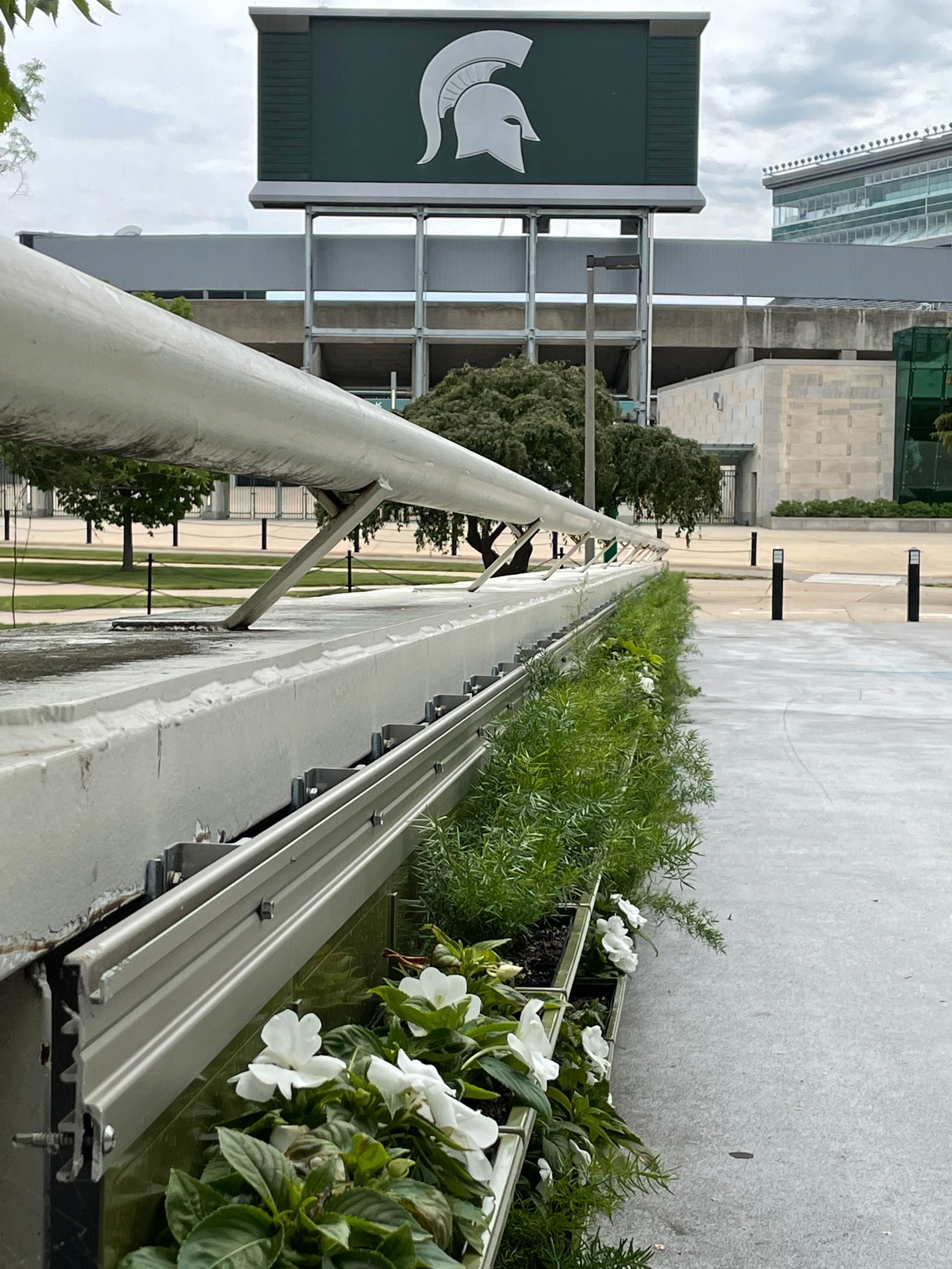 Green Wall on footbridge between the library and the stadium