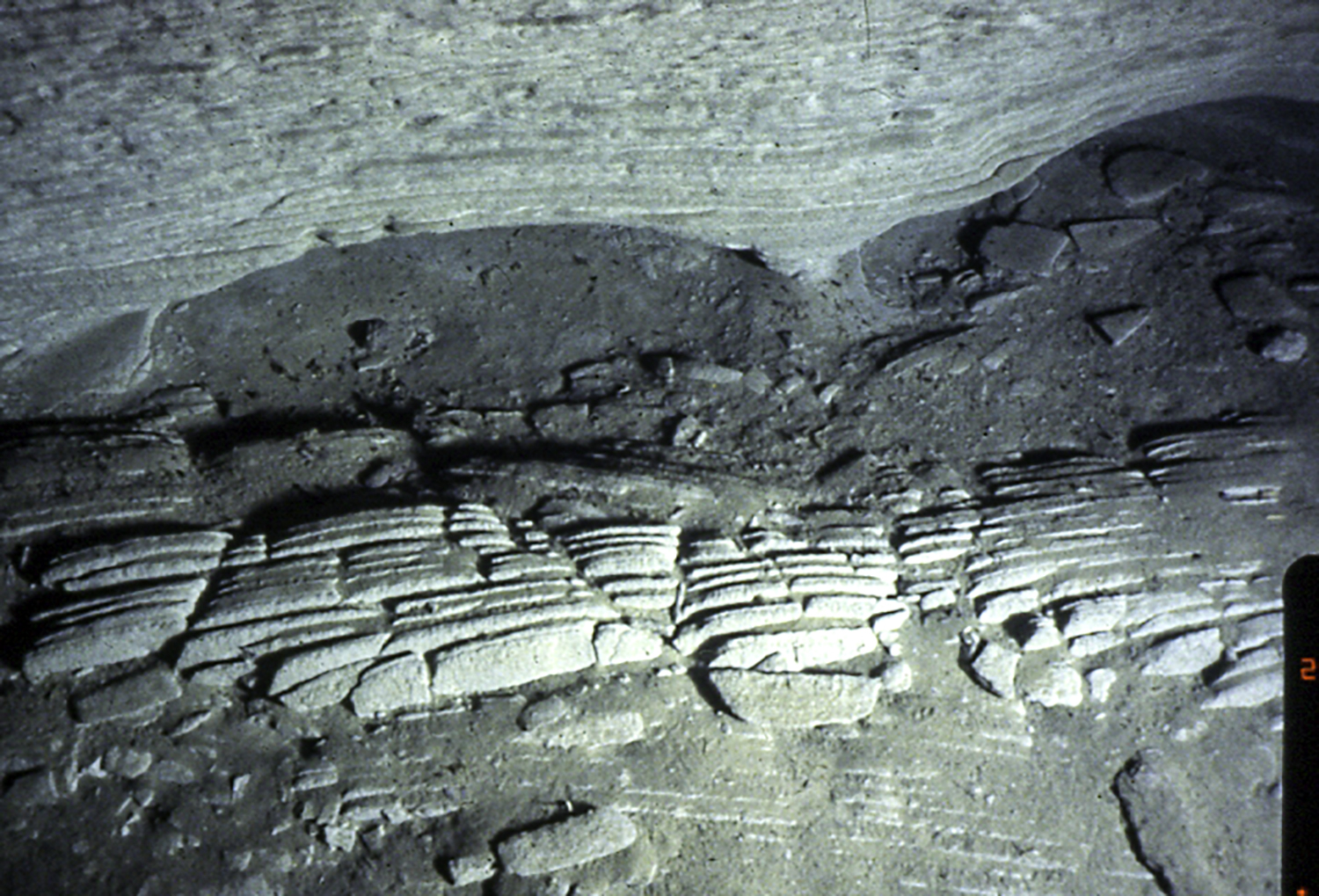 Underwater caves carved out the burbot.