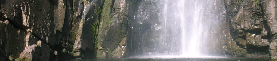 Waterfall banner image