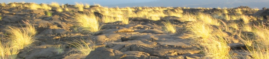 Pahoehoe lava flow banner