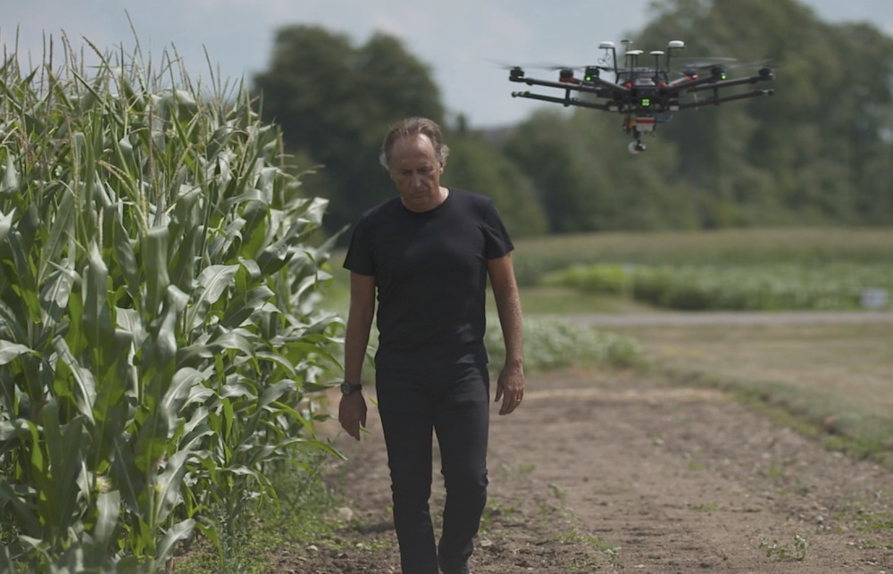 Brunno Basso Walking next to corn field followed by drone