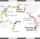 Early CAREER Award Offers A New View of Earth's Interior