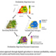 Precision Conservation - Agricultural sustainability and climate solutions by digital design